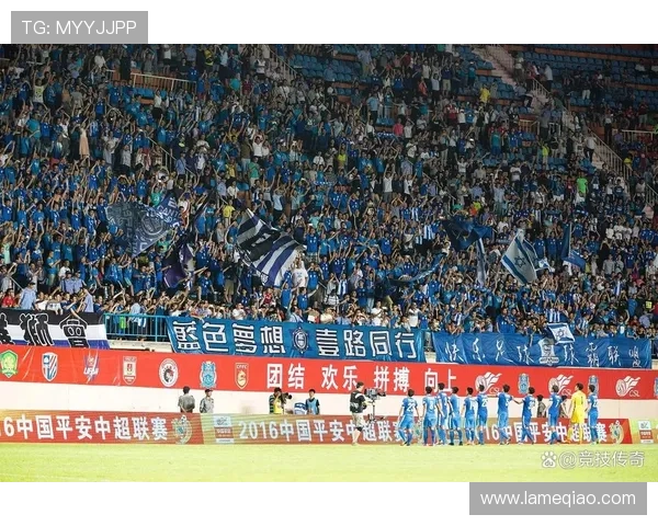 中超球队集体道歉申花深感愧对球迷热爱与支持誓言重整再出发